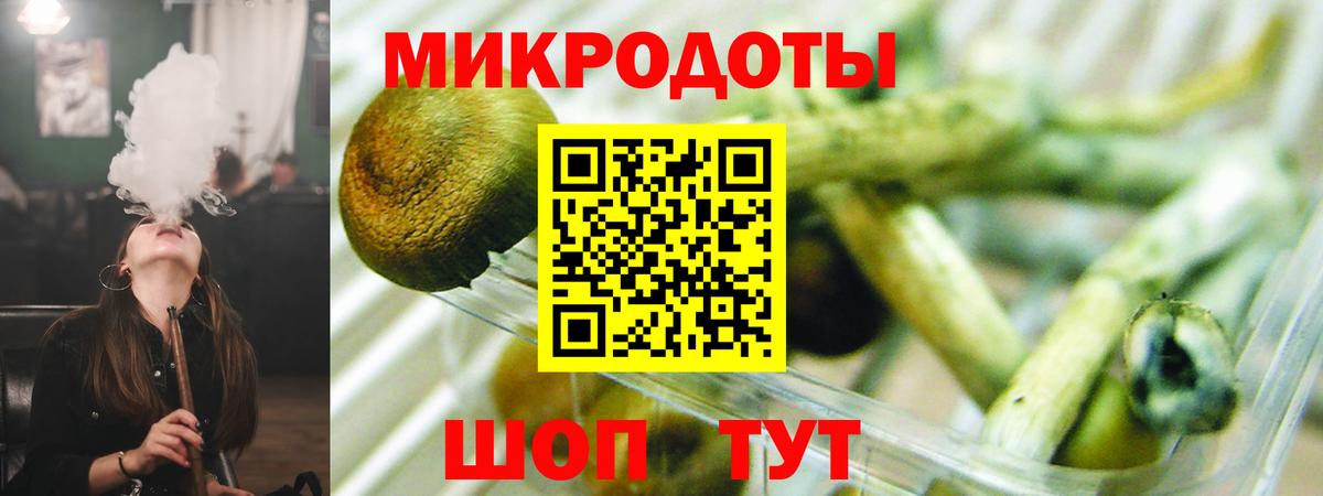 Галлюциногенные грибы Cubensis Калуга