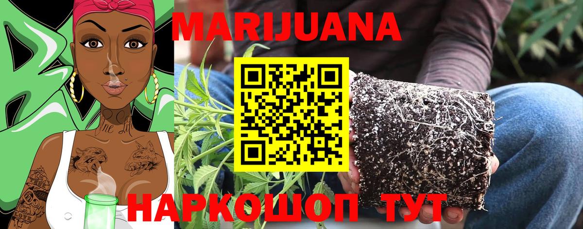 Шишки марихуана MAZAR  Вход с VPN  Бошки Шишки Ganja  Калуга  Бошки Шишки AK-47 